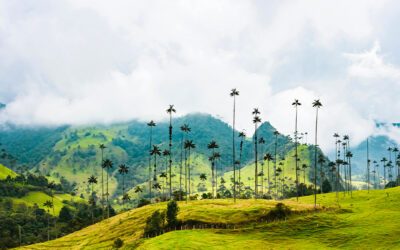 L’Émerveillement Colombien en 15 Jours : Bogota, Medellín, Cartagena… et bien plus encore !