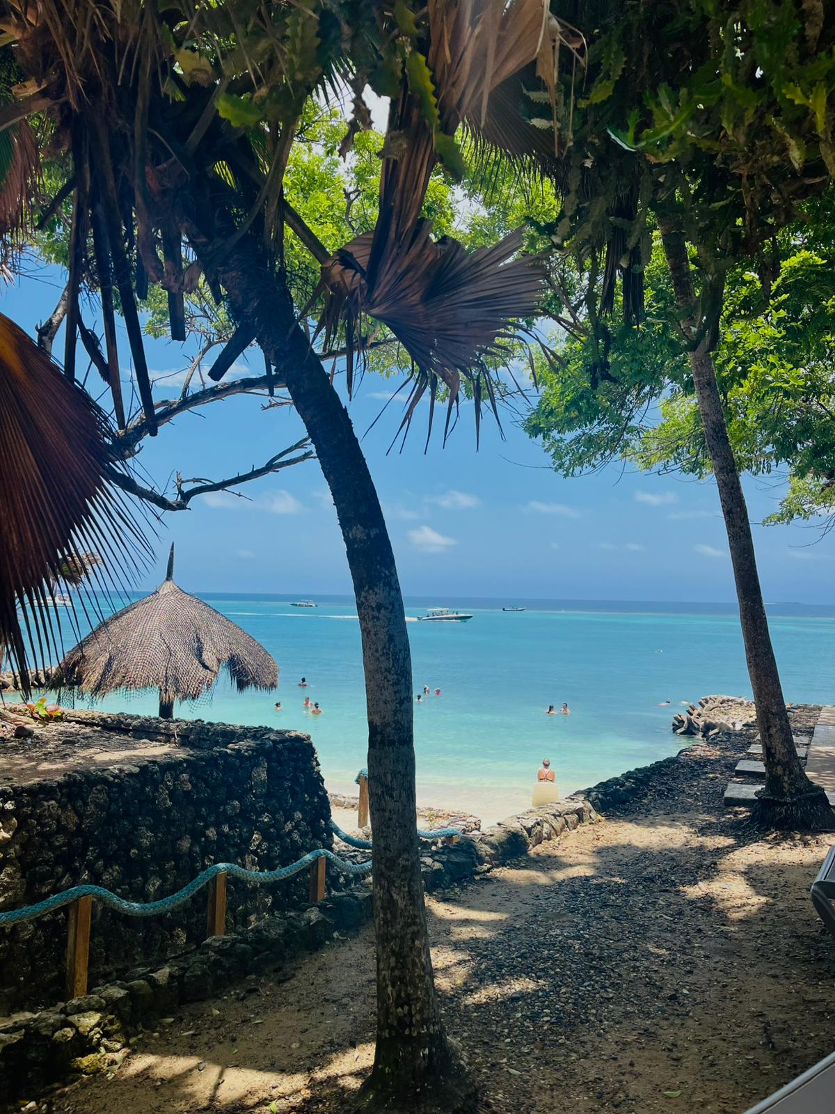 00000584-PHOTO-2025-08-06-02-01-23