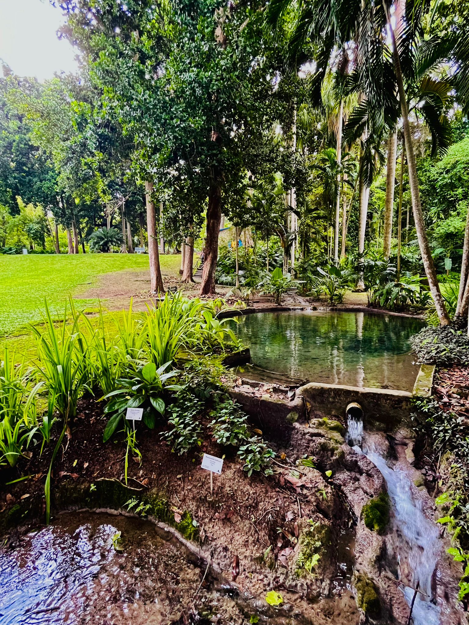 00000695-PHOTO-2025-08-07-00-38-43