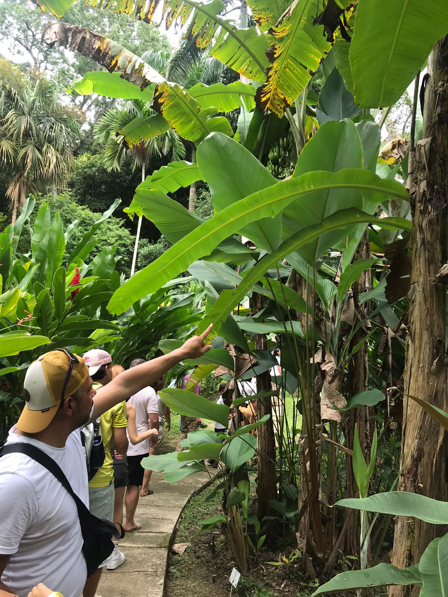 00000780-PHOTO-2025-08-07-03-26-08