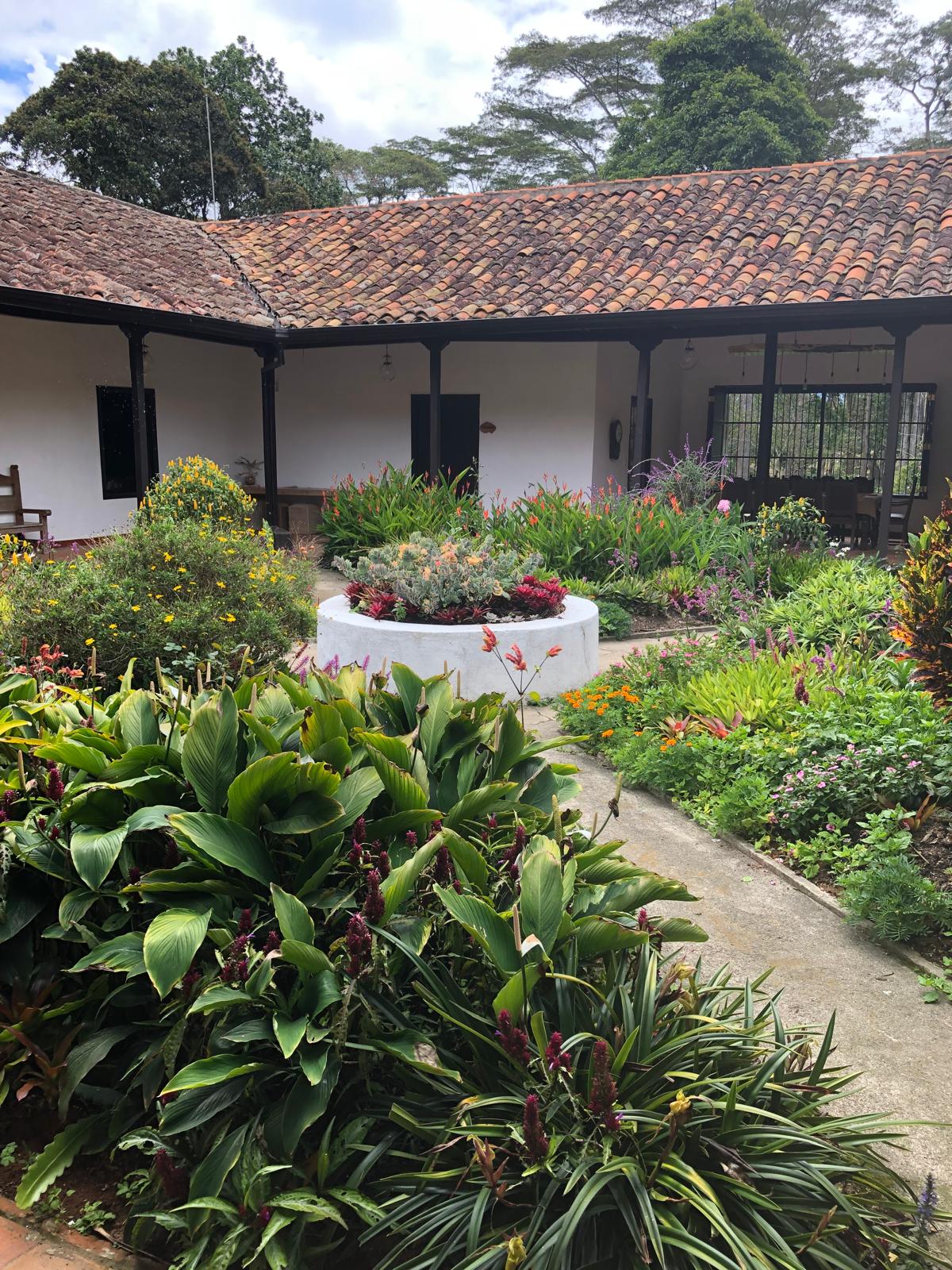 00000972-PHOTO-2025-08-11-02-11-20